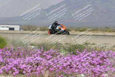 media/Feb-04-2023-SoCal Trackdays (Sat) [[8a776bf2c3]]/Turn 15 Inside Blooming (1050am)/